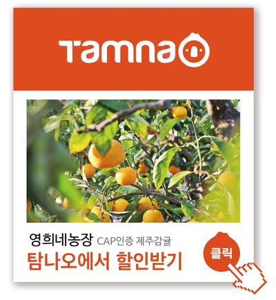 영희네감귤농장 이미지