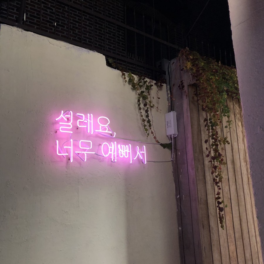 문델리온 이미지
