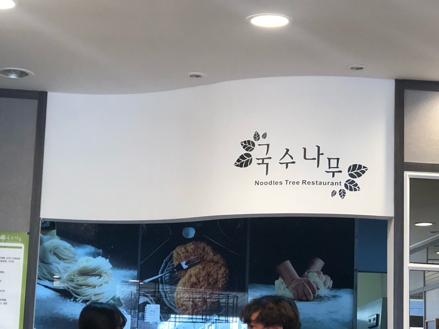 국수나무충남 이미지