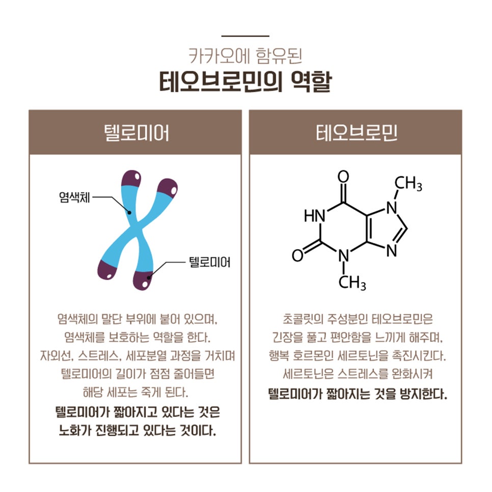 민테라피 이미지