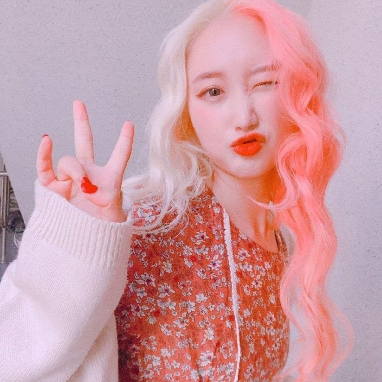 머리여행 이미지