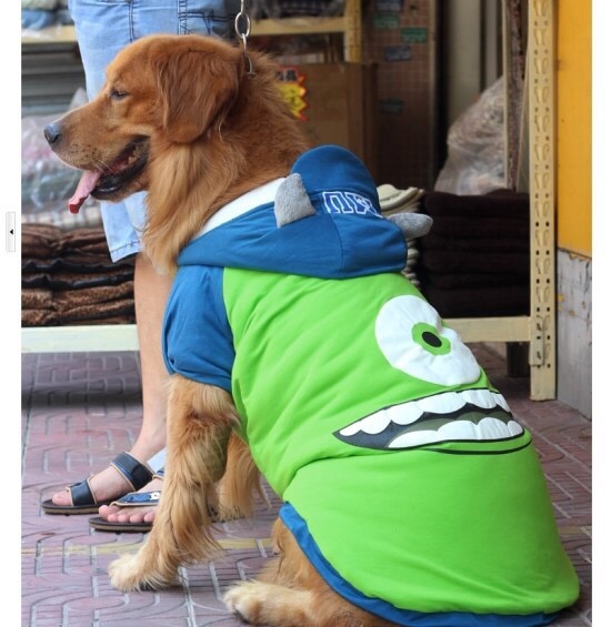 동일의류 이미지