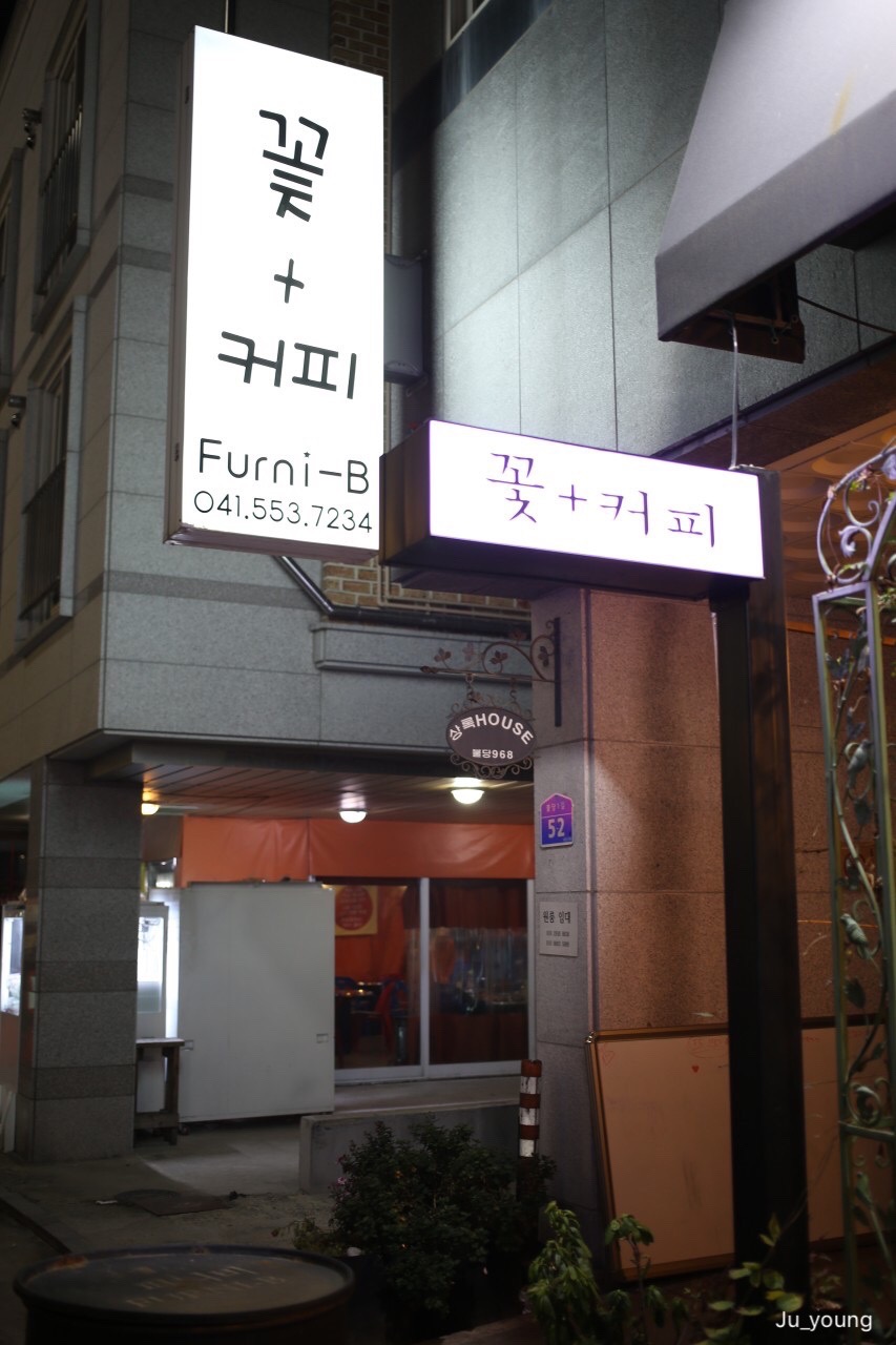 퍼니비 이미지