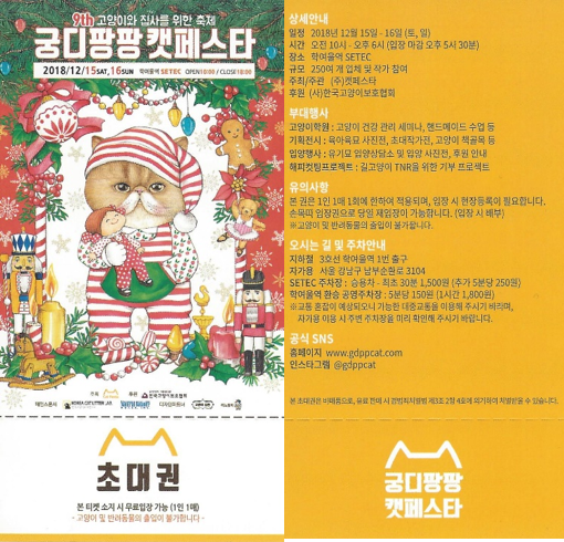 팡팡글로벌 이미지