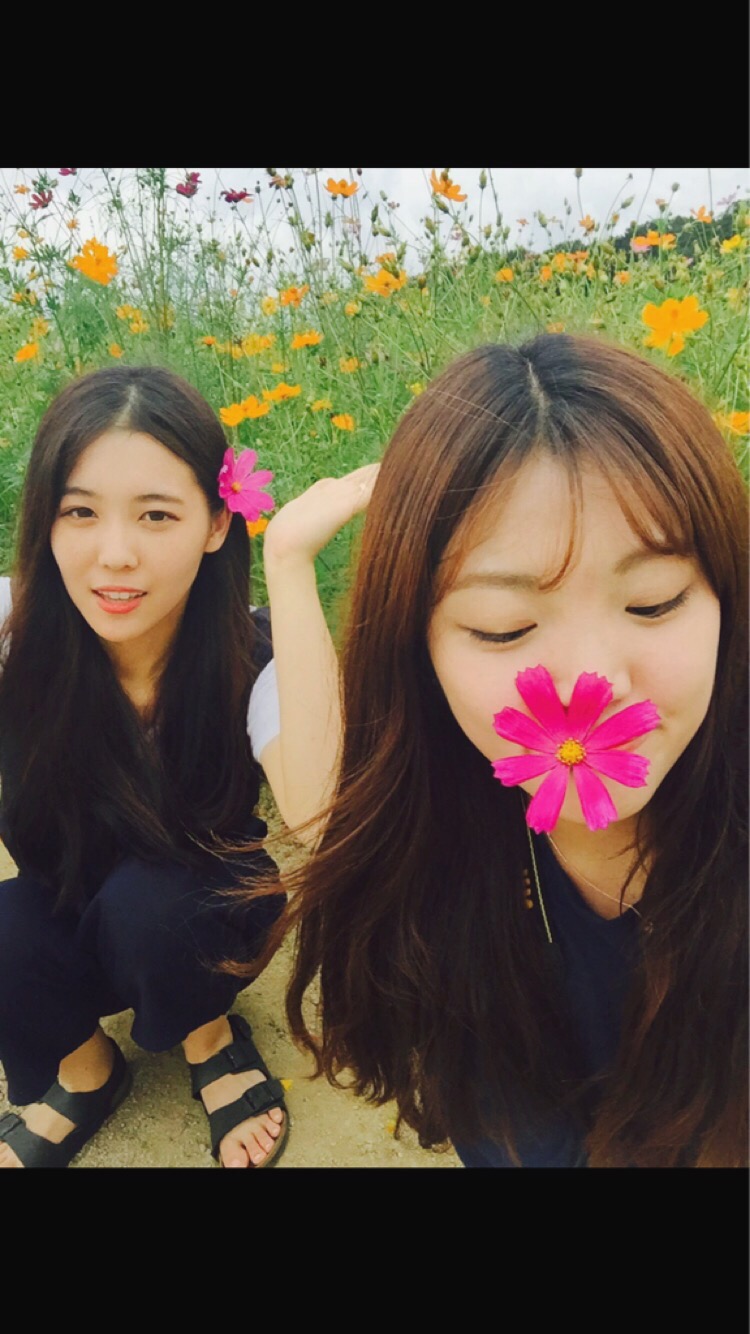 보코이 이미지