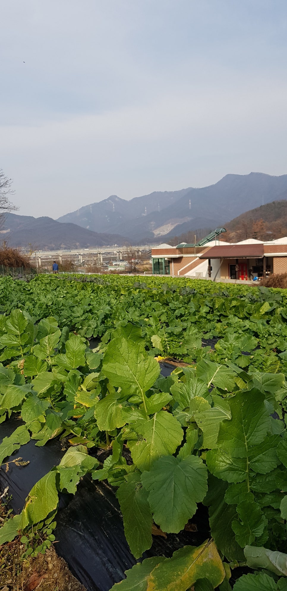 옹달샘유통 이미지