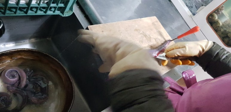 황궁노래방 이미지