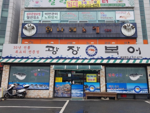 광장복어 이미지