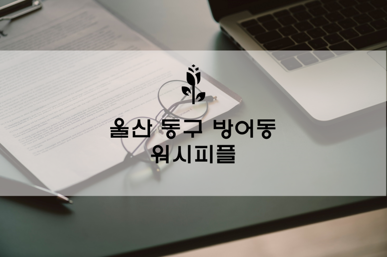 워시피플셀프빨래방울산 이미지