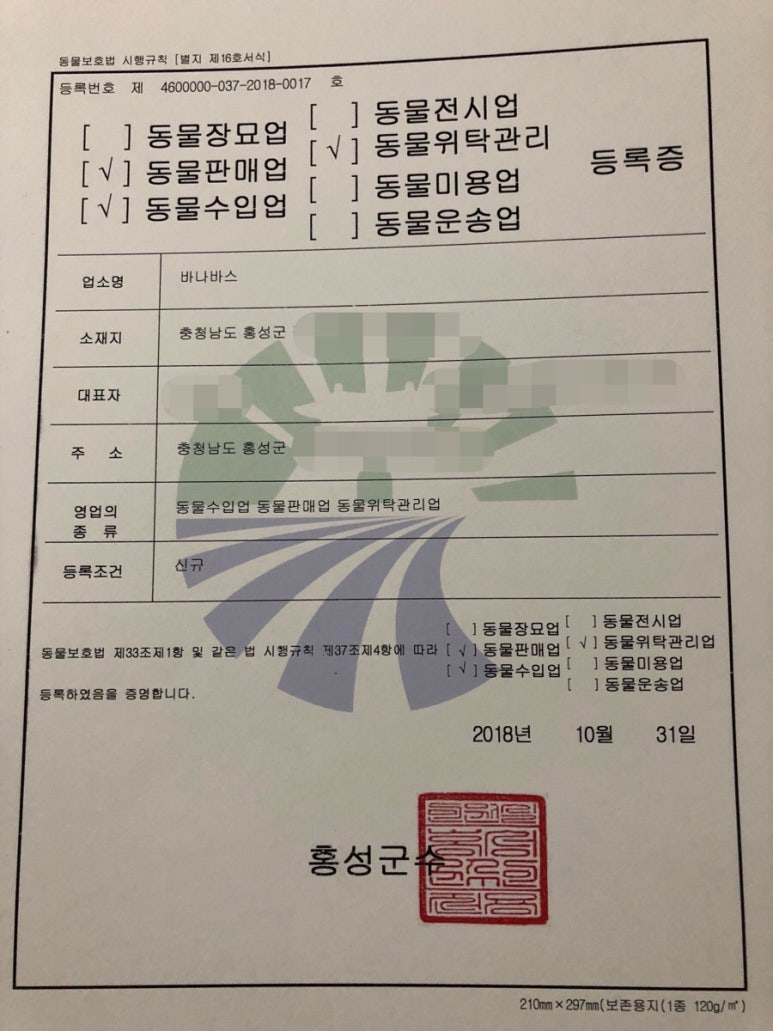 바나바스 이미지