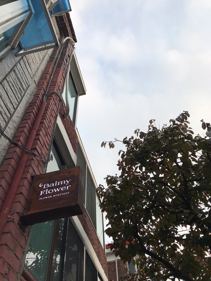 바미플라워 이미지