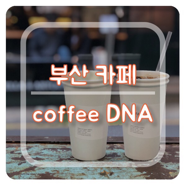 디엔에이컴퍼니 이미지