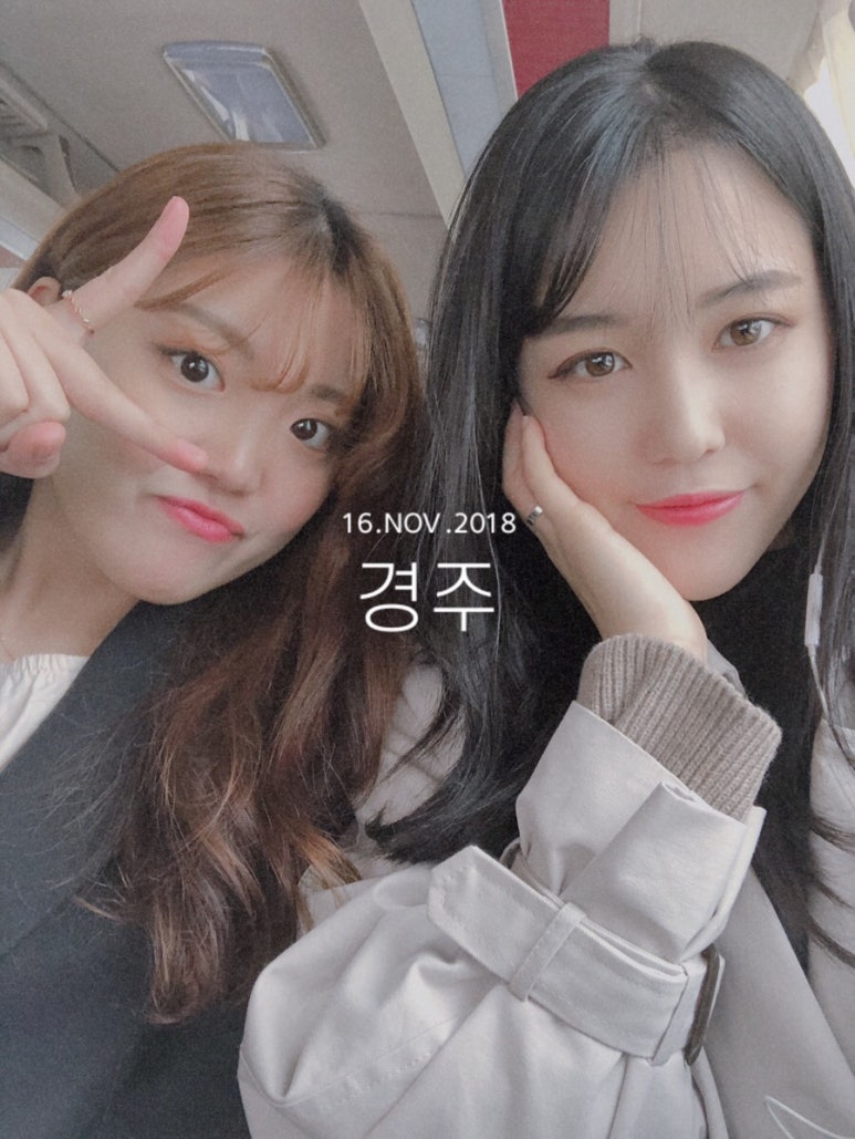 보코이 이미지