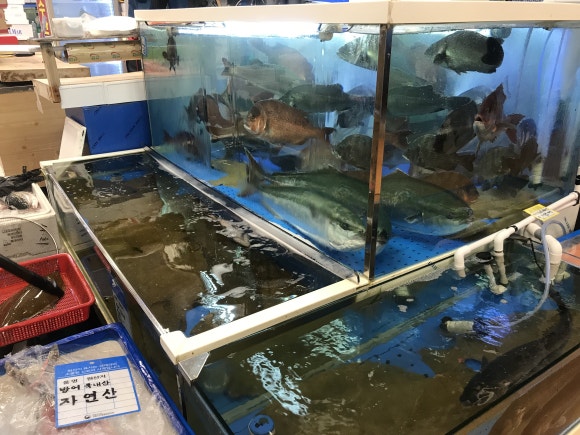 대일수산 이미지