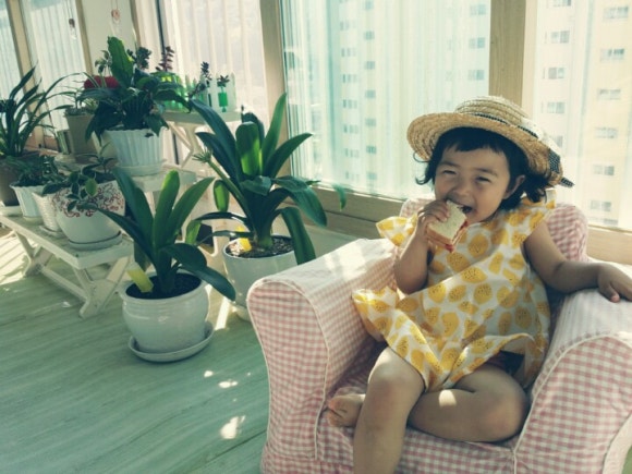 보미사 이미지