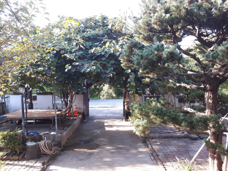 소양주유소 이미지