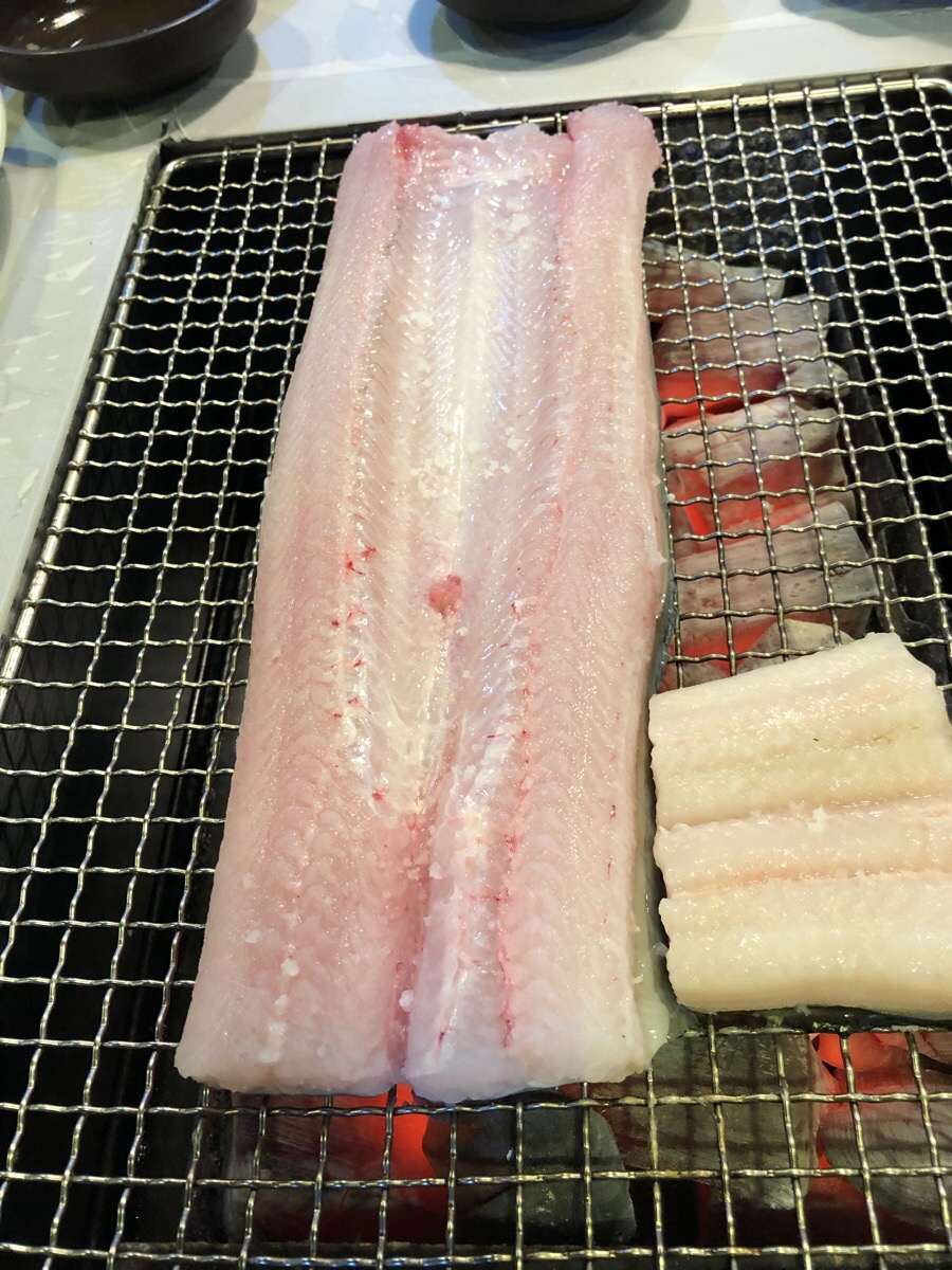 고흥바다장어 이미지
