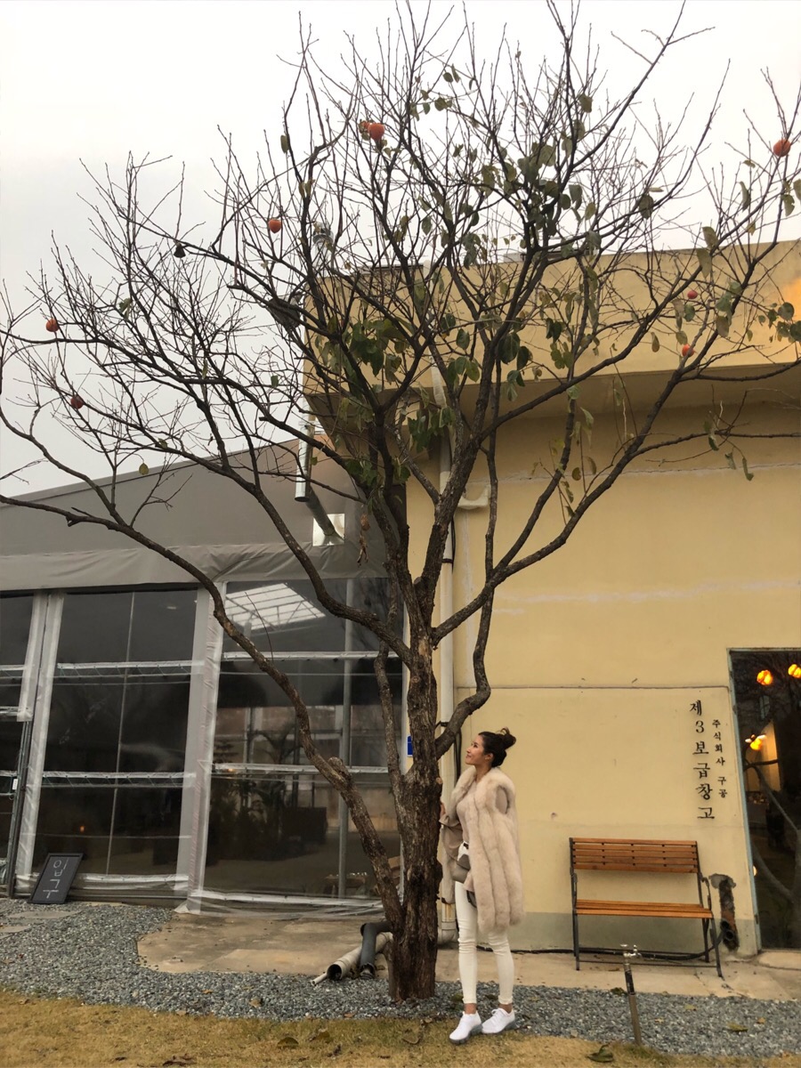 창고구공 이미지