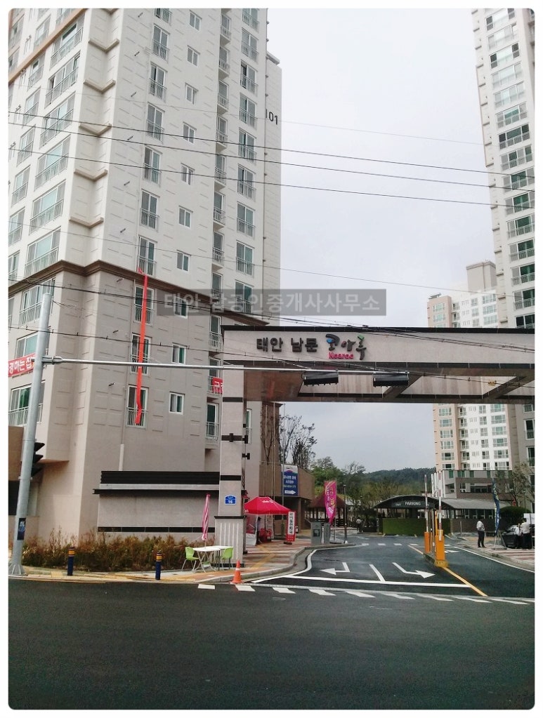 로얄9052 이미지