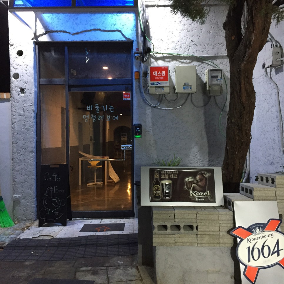 비둘기는멍청해보여 이미지