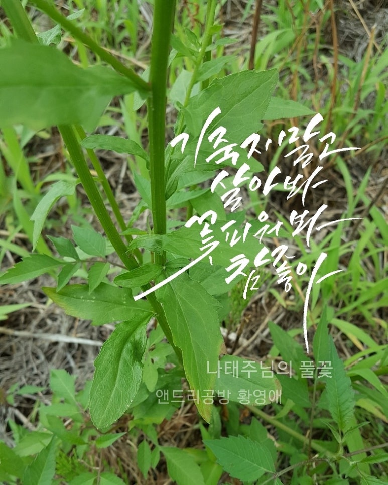 앤드리공방 이미지