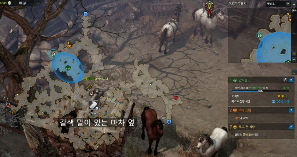 홀씨앗 이미지
