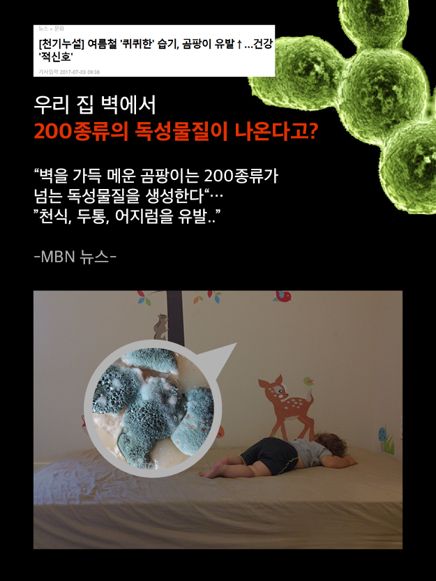 바른도배인테리어 이미지