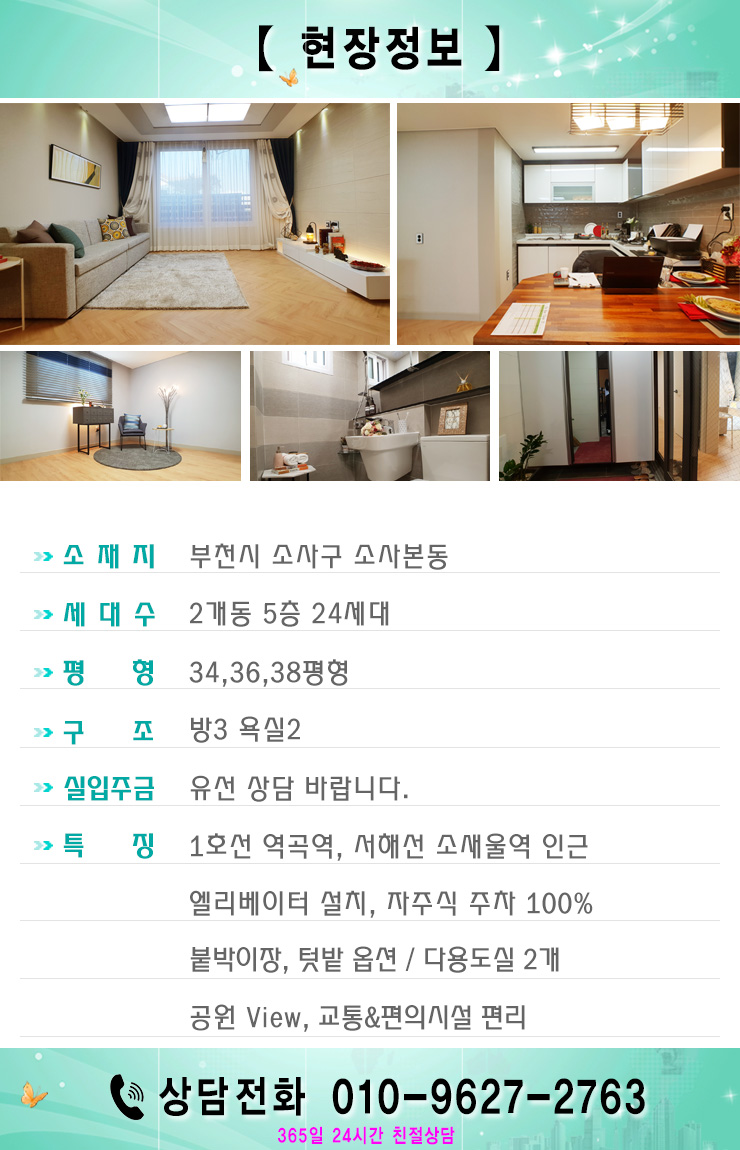 오가문어 이미지