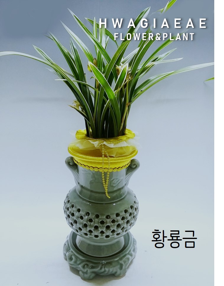 화기애애 플라워&플랜트 이미지
