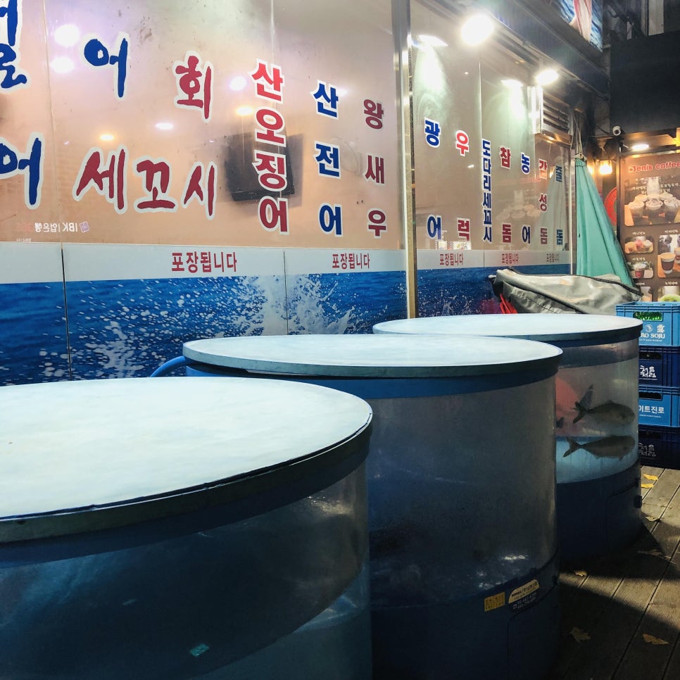 막썰어세꼬시식당 이미지