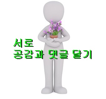 소나무분식 이미지