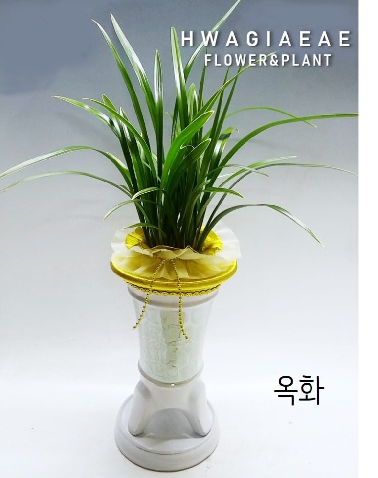 화기애애 플라워&플랜트 이미지