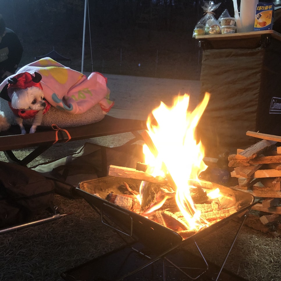개차반캠핑장 이미지