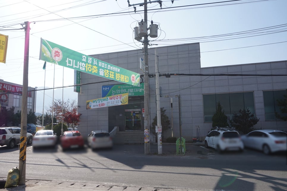 북창원농협 하나로마트 이미지