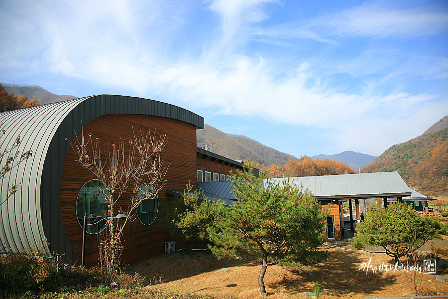 전북권환경성질환치유센터진안고원치유숲 이미지
