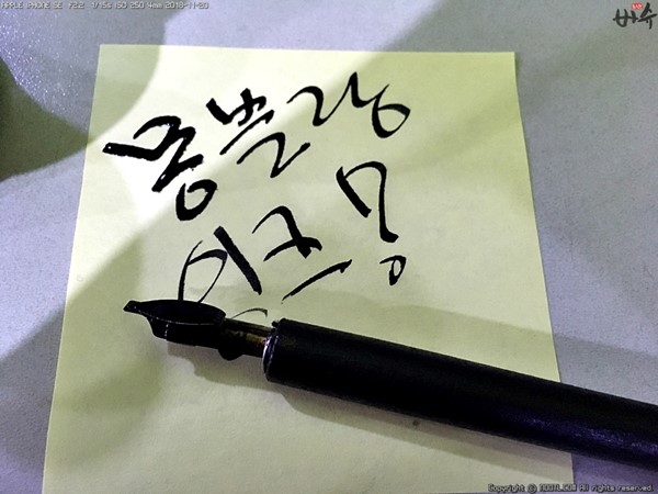 퍼머넌트잉크 이미지
