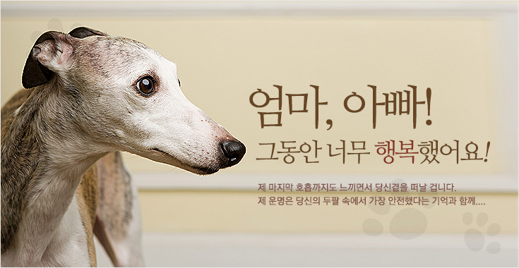 두리공방 이미지