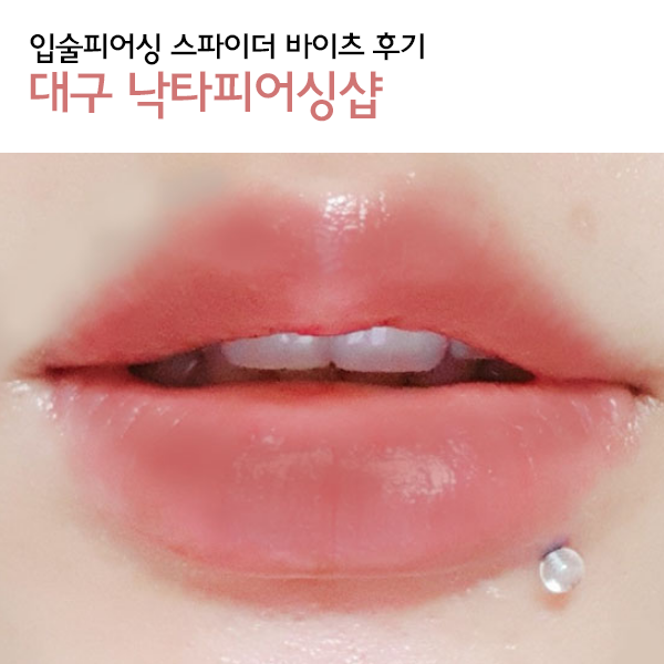 낙타샵 이미지