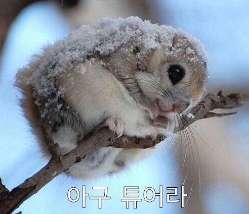 남사이곤 이미지