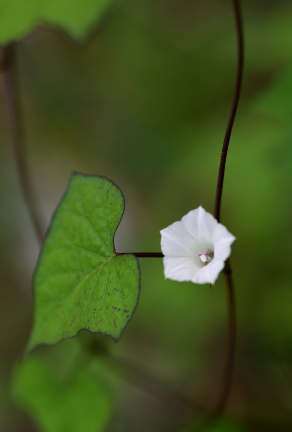 은수당한의원 이미지