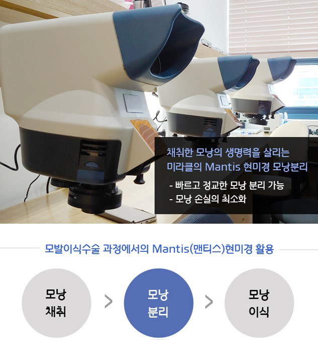 미헤어라인 이미지