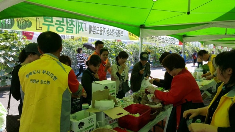 성의정 한과드림 이미지