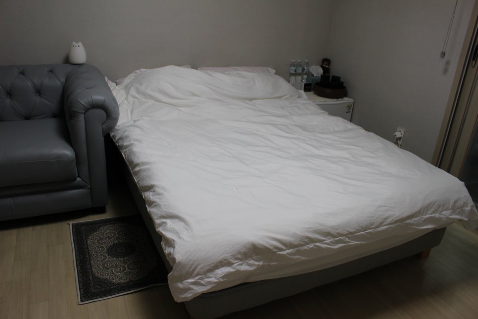 세러데이모닝 이미지