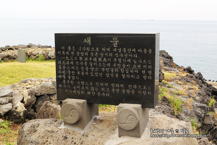 대섭동산 이미지