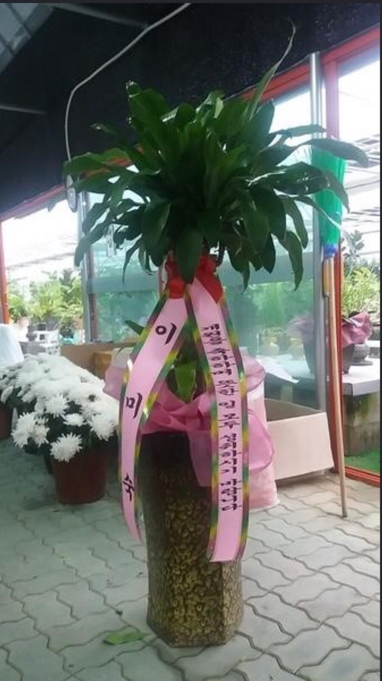 경소사 이미지
