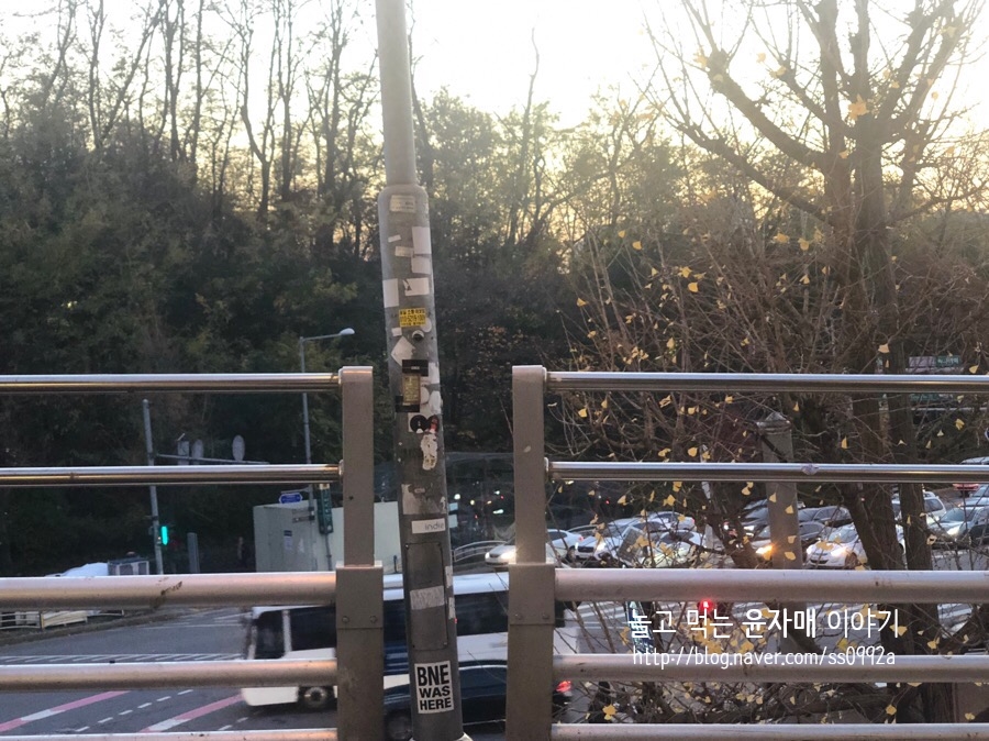 녹사다리 이미지
