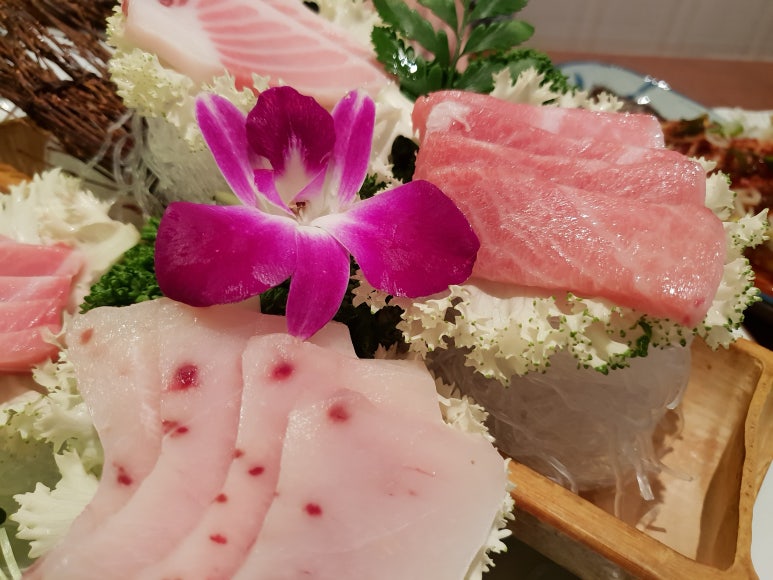 큰물참치 이미지