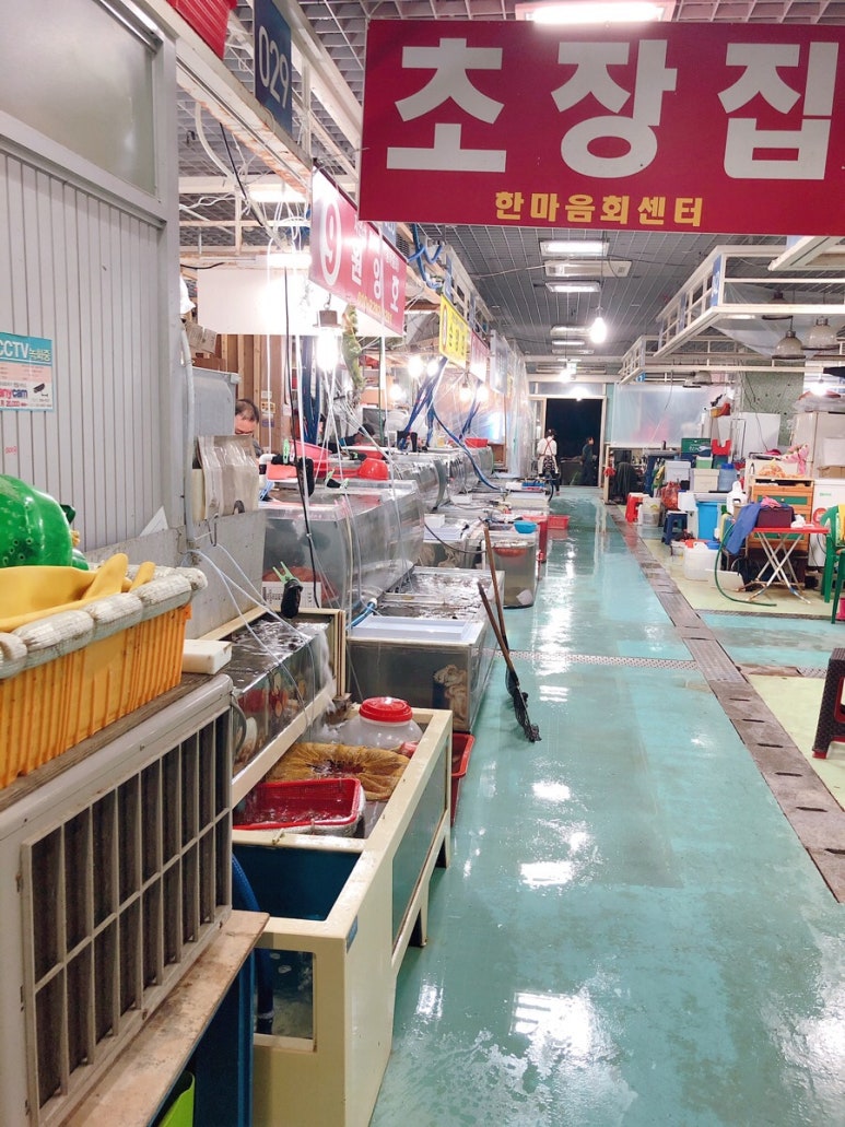 대창횟집 이미지