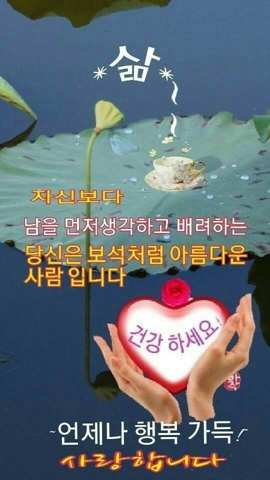 세기냉열 이미지
