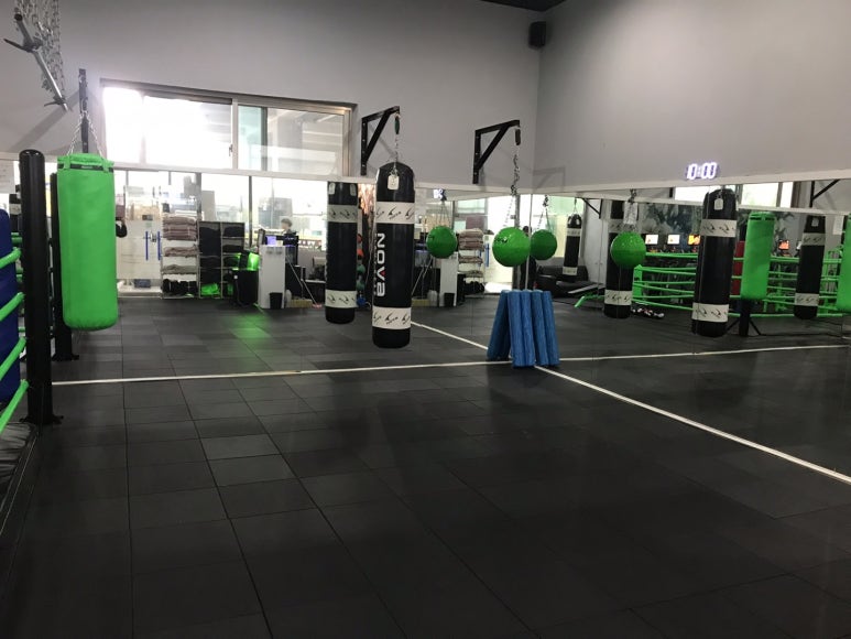 Y.GYM 이미지